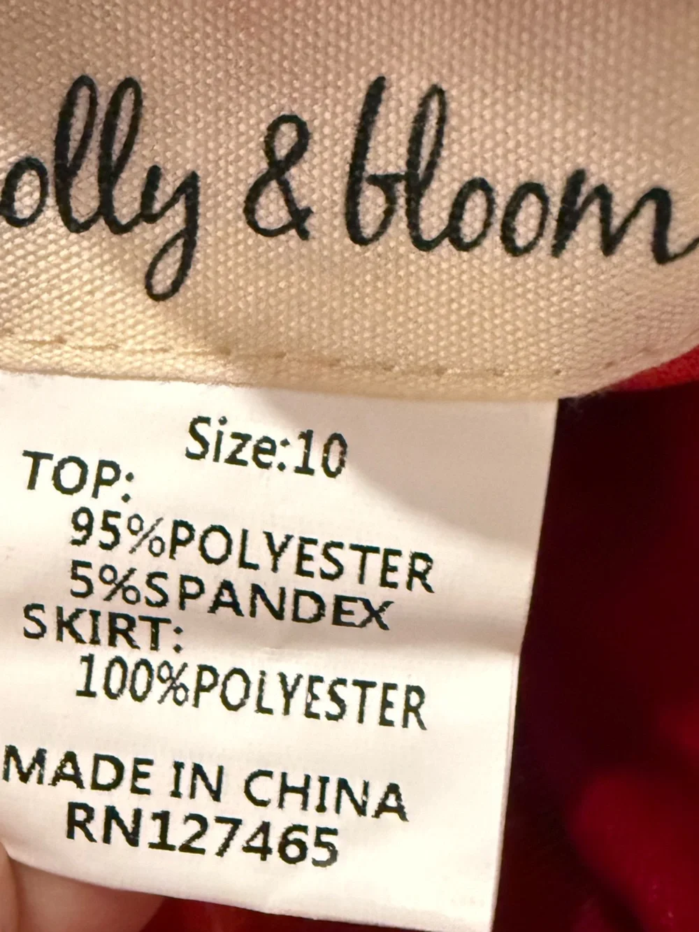 Taylor Joelle Holly Bloom Girls Red Velvet Party Dress Puff Sleeve Organza 10